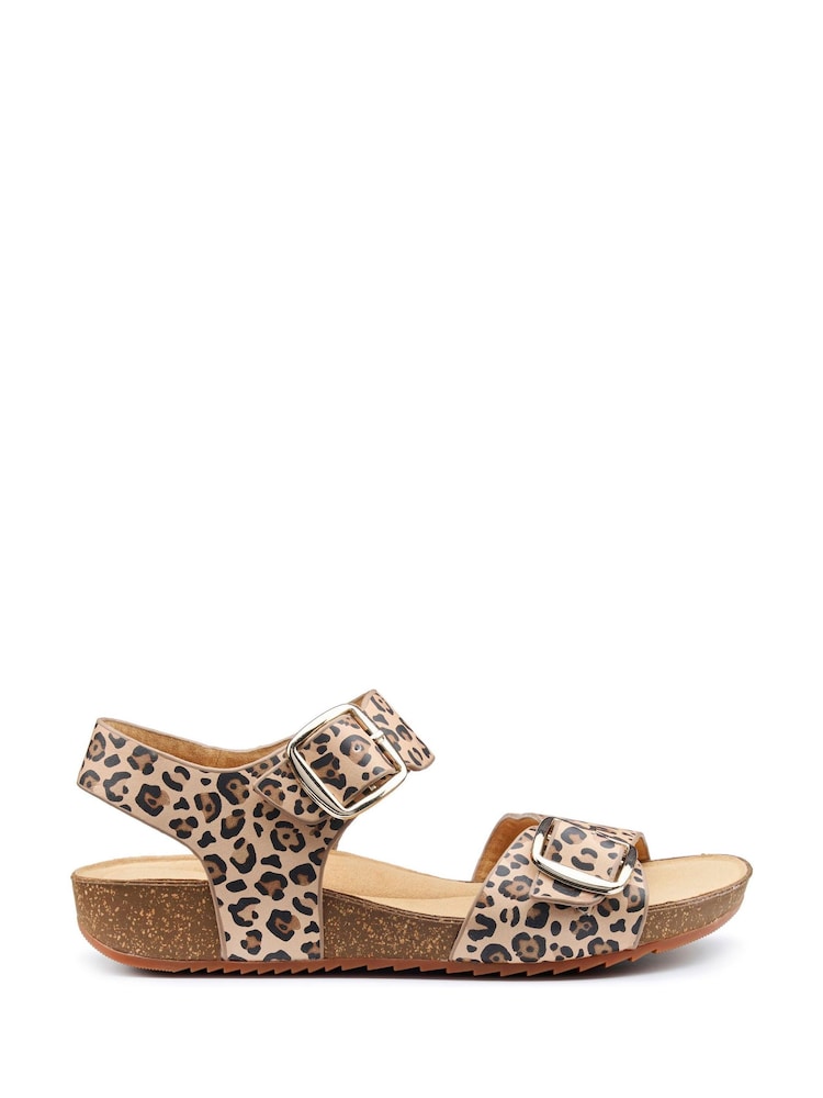 Hotter Animal Print Regular Fit Tourist II Buckle Sandals - Image 1 of 4