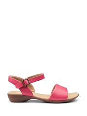 Hotter Pink Regular Fit Tropic Buckle Sandals - Image 1 of 4