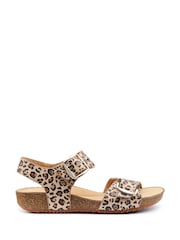 Hotter Animal Print Extra Wide Fit Tourist II Buckle Sandals - Image 1 of 4