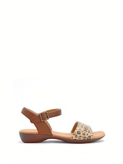 Hotter Animal Print Wide Fit Tourist II Buckle Sandals - Image 1 of 4