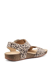 Hotter Animal Print Wide Fit Tourist II Buckle Sandals - Image 3 of 4