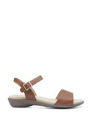 Hotter Brown Wide Fit Tropic Buckle Sandals - Image 1 of 4