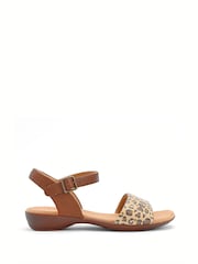 Hotter Animal Print Regular Fit Tropic Buckle Sandals - Image 1 of 4