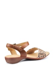 Hotter Animal Print Regular Fit Tropic Buckle Sandals - Image 3 of 4