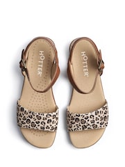 Hotter Animal Print Regular Fit Tropic Buckle Sandals - Image 4 of 4