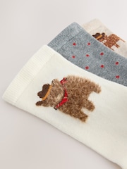 Hamish the Altoland Cow Cowboy - Pack de 3 pares de calcetines tobilleros - Imagen 5 de 6