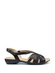 Hotter Black Regular Fit Flare Touch-Fastening Sandals - Image 1 of 4