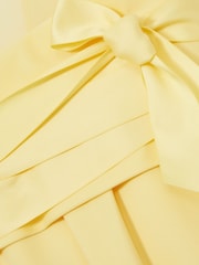 Reiss Lemon Liliana Atelier Ribbon-Tie Corset Shift Dress - Image 6 of 6