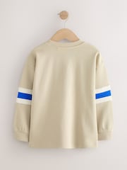 Stone Relaxed Fit Heavyweight Long Sleeve Colourblock T-Shirt (3-16yrs) - Image 5 of 7