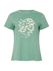 M&Co Green Crew Neck 100% Cotton T-Shirt - Image 5 of 5