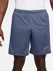 Nike Diffused Blue Academy Dri-FIT Training Shorts - Image 1 of 4
