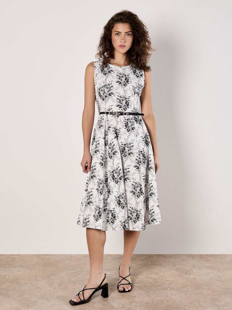 Apricot White Sketched Rose Fit & Flare Cotton Stretch Midi Dress - Image 1 of 4