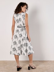 Apricot White Sketched Rose Fit & Flare Cotton Stretch Midi Dress - Image 4 of 4