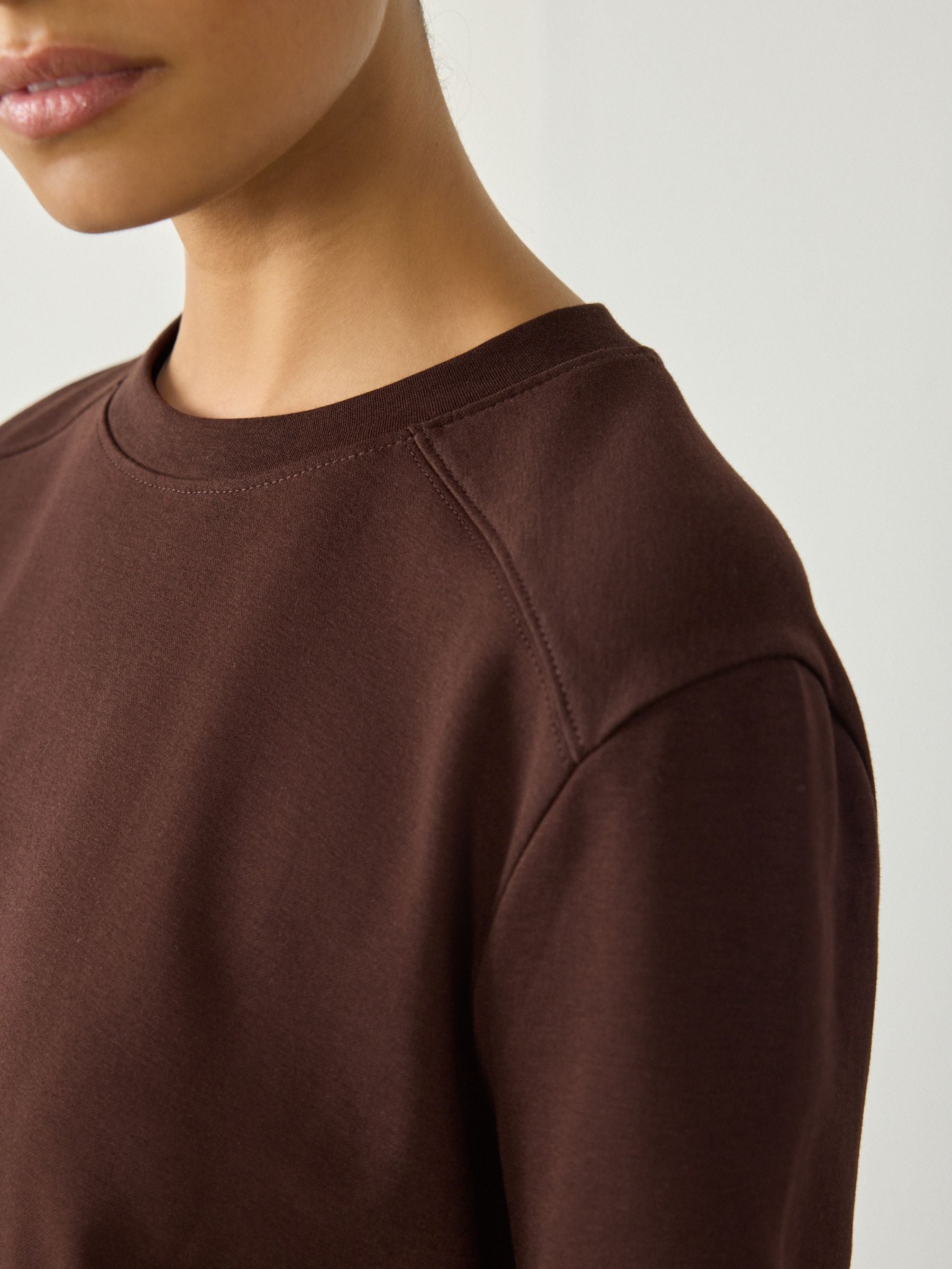 Buy Chocolate Brown Long Sleeve Heavyweight Crew Neck T-Shirt from