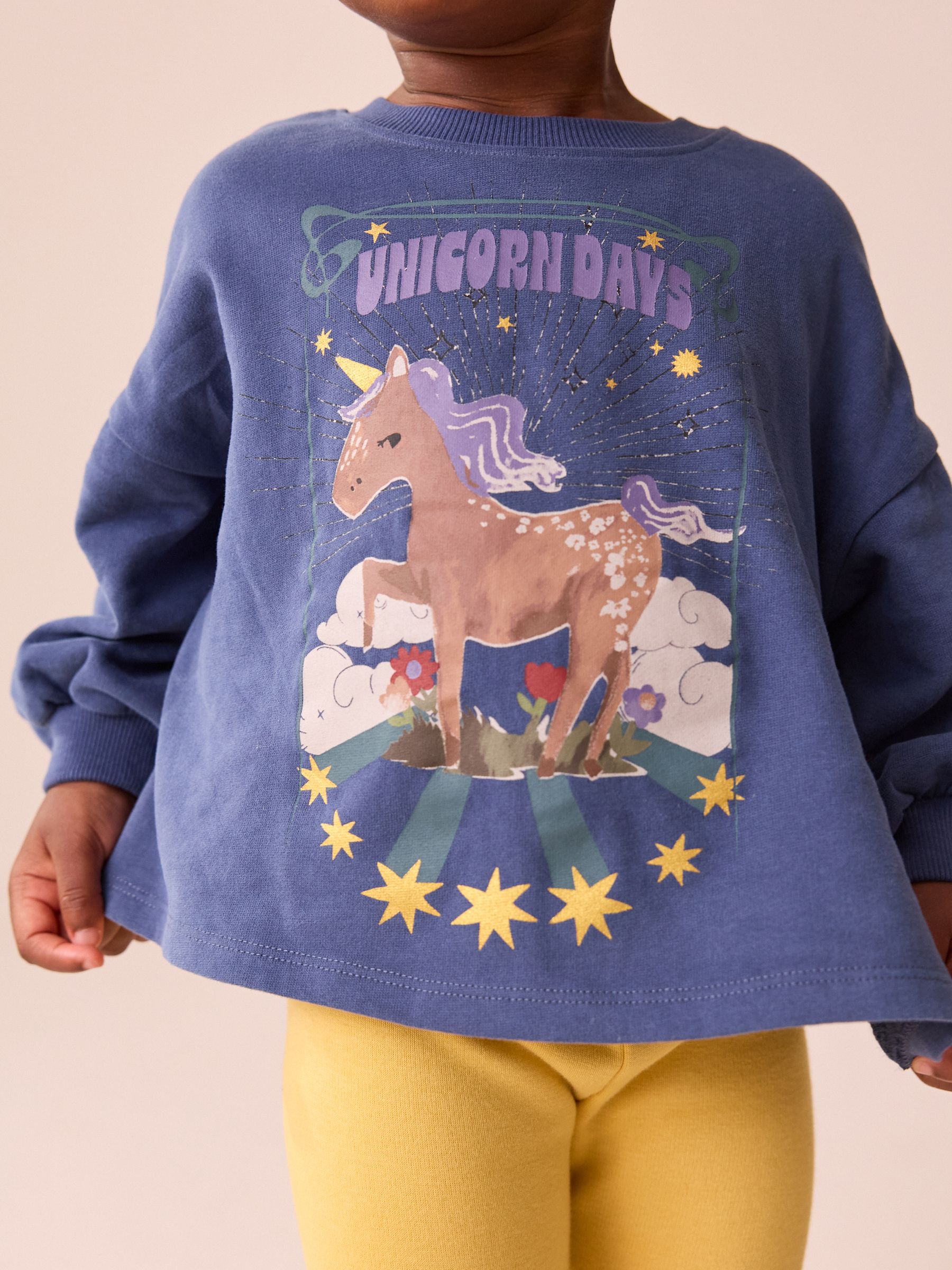 Fairy Unicorn Long Sleeve T-Shirt