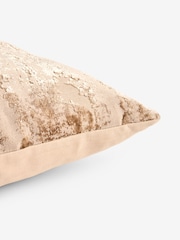 Mid Natural 40 x 59cm Fem Chic Velvet Abstract Cushion - Image 5 of 5