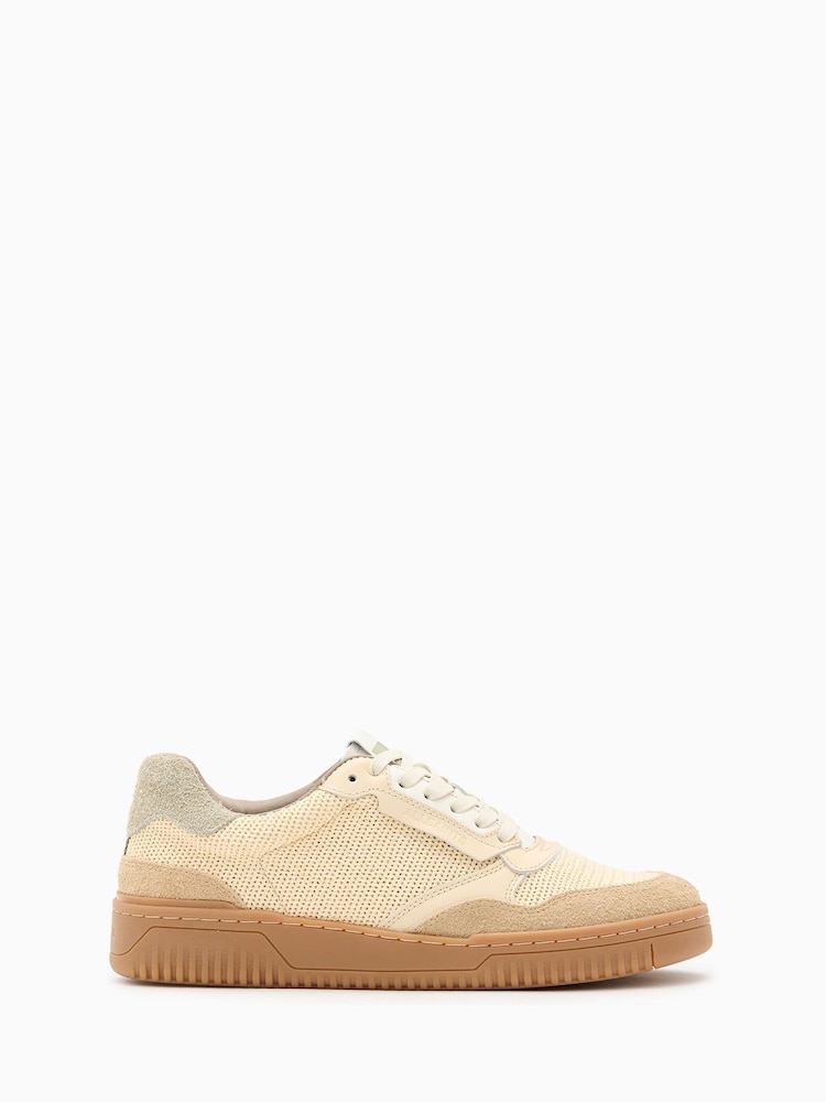 AllSaints Cream Regan Mesh Low Trainers - Image 1 of 5