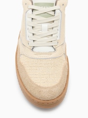 AllSaints Cream Regan Mesh Low Trainers - Image 4 of 5