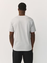 Grey Light Regular Fit Essential Crew Neck Cotton T-Shirt - Image 3 of 7