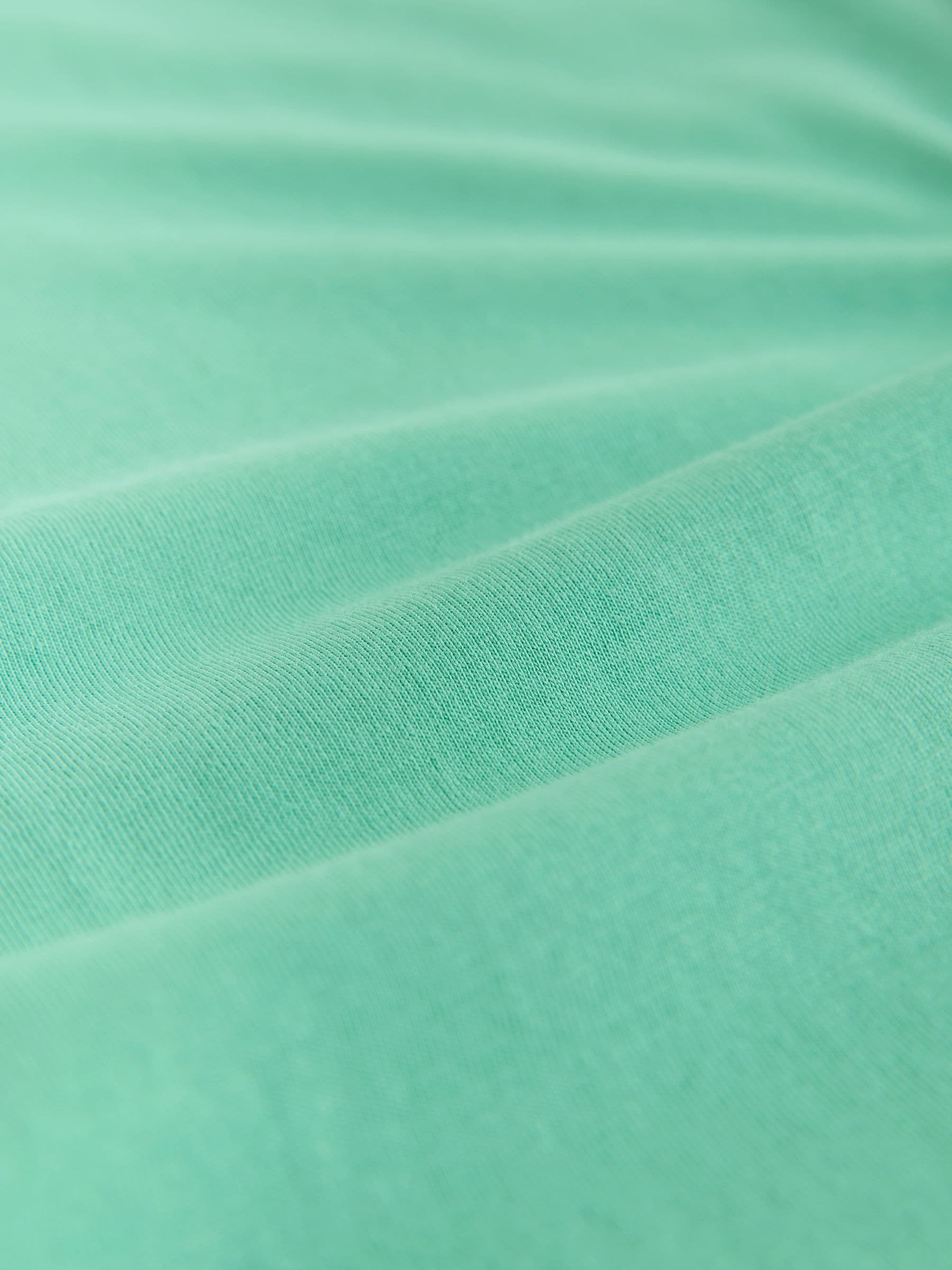 Buy Green Mint Slim Fit Essential Crew Neck Cotton T-Shirt from