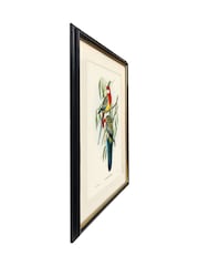 Brookpace Lascelles Multi Black Hand made in UK Rosehill Parakeet by Elizabeth Gould In A Slim Frame With Antique Champagne Silver Inner Bezel 40 X 50 - Image 3 of 4