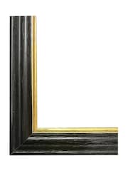 Brookpace Lascelles Multi Black Hand made in UK Rosehill Parakeet by Elizabeth Gould In A Slim Frame With Antique Champagne Silver Inner Bezel 40 X 50 - Image 4 of 4
