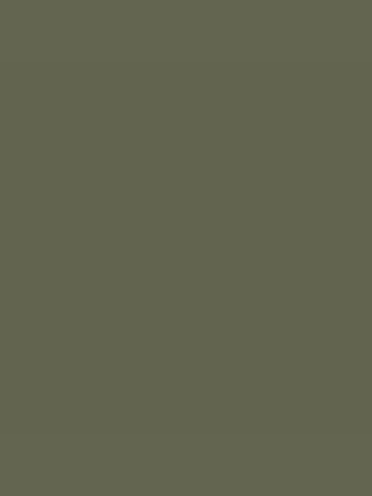 Abigail Ahern Seagrass Meadow Peel & Stick A5 Paint Sample - Image 2 of 7 Abigail Ahern Seagrass Meadow Peel & Stick A5 Paint Sample - Image 2 of 7