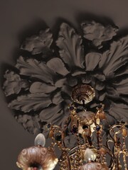 Abigail Ahern Dewdrop Moss 2.5 Litre Emulsion Paint - Image 4 of 7