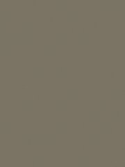 Abigail Ahern Wild Millet 2.5 Litre Emulsion Paint - Image 7 of 7