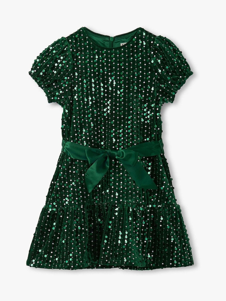 Green Sequins Velvet Dress - Image 1 of 1 Green Sequins Velvet Dress - Image 1 of 1
