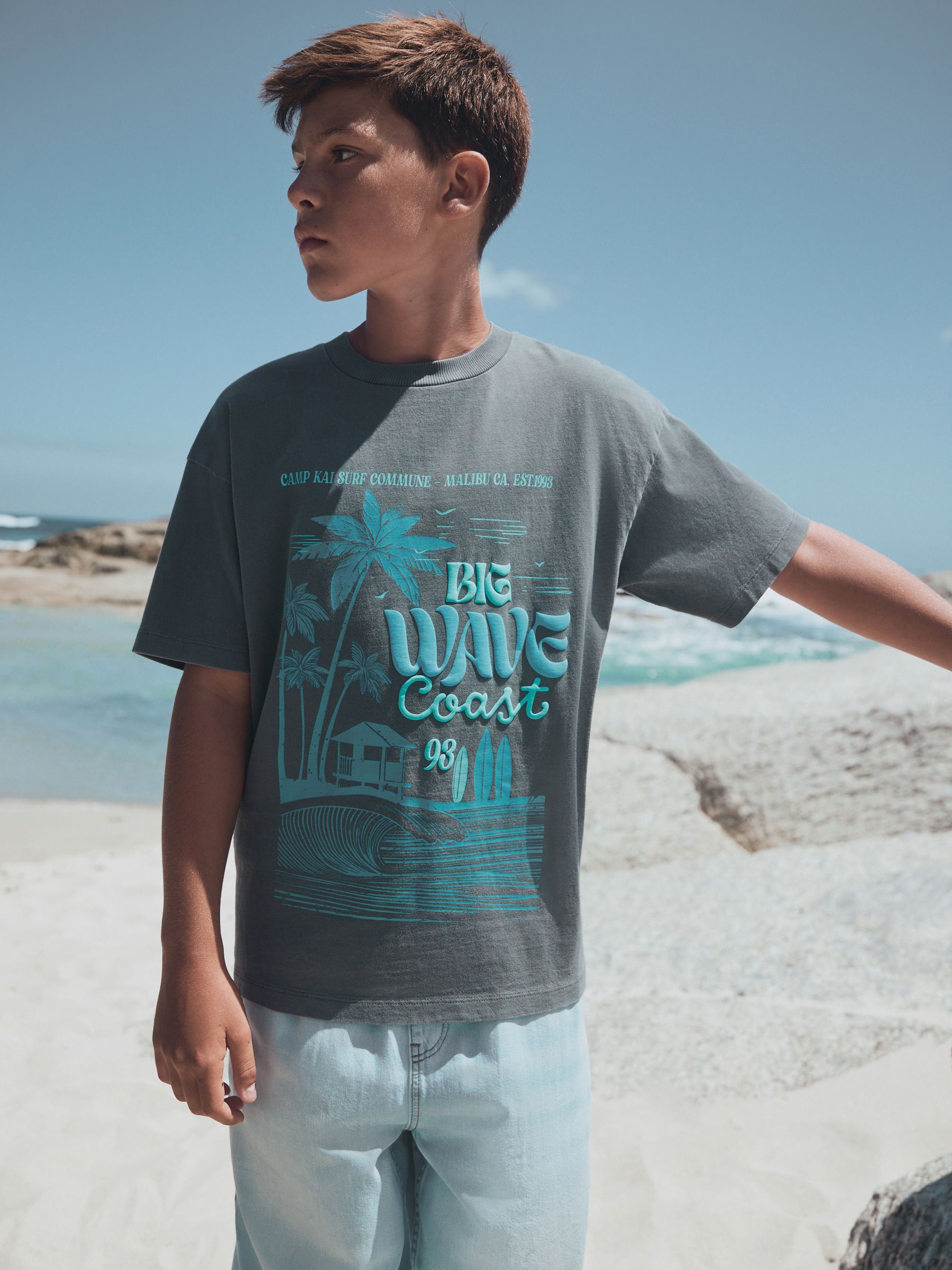 Buy Charcoal Grey Washed Graphic T-Shirt (3-16yrs) from the Next