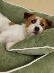 Καναπές-κρεβάτι για κατοικίδια Joules Snuggler - Εικόνα 3 από 8