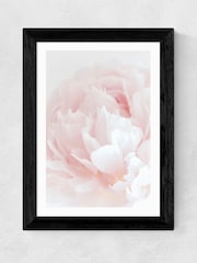 East End Prints Black Peony 05 Wall Art Print by 1x Gallery - Image 2 of 3