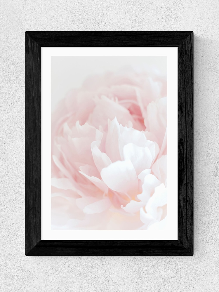 East End Prints Black Peony 05 Wall Art Print by 1x Gallery - Image 2 of 3
