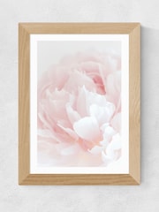 East End Prints Oak Peony 05 Wall Art Print by 1x Gallery - Image 2 of 3