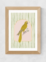East End Prints Oak Eccentric Parrot Wall Art Print by Oh Fine Art - Image 2 of 3
