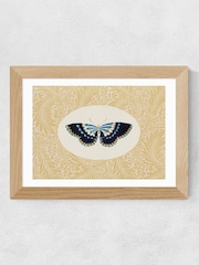East End Prints Oak Delicate Flutter Wall Art Print by Oh Fine Art - Image 2 of 3