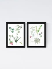 East End Prints Set of 2 Black Forest Floor Finds Wall Art Prints by Cartissi - Image 2 of 2