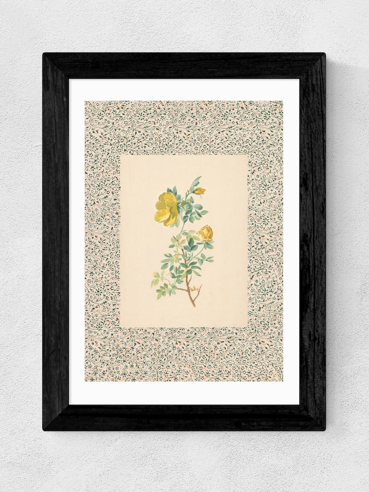 East End Prints Black Charming Roses Wall Art Print by Oh Fine! Art - Image 2 of 3