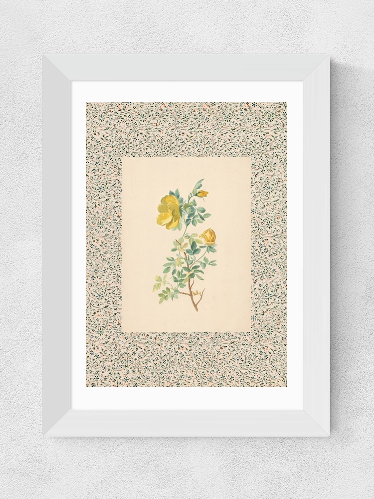 East End Prints White Charming Roses Wall Art Print by Oh Fine! Art - Image 2 of 3