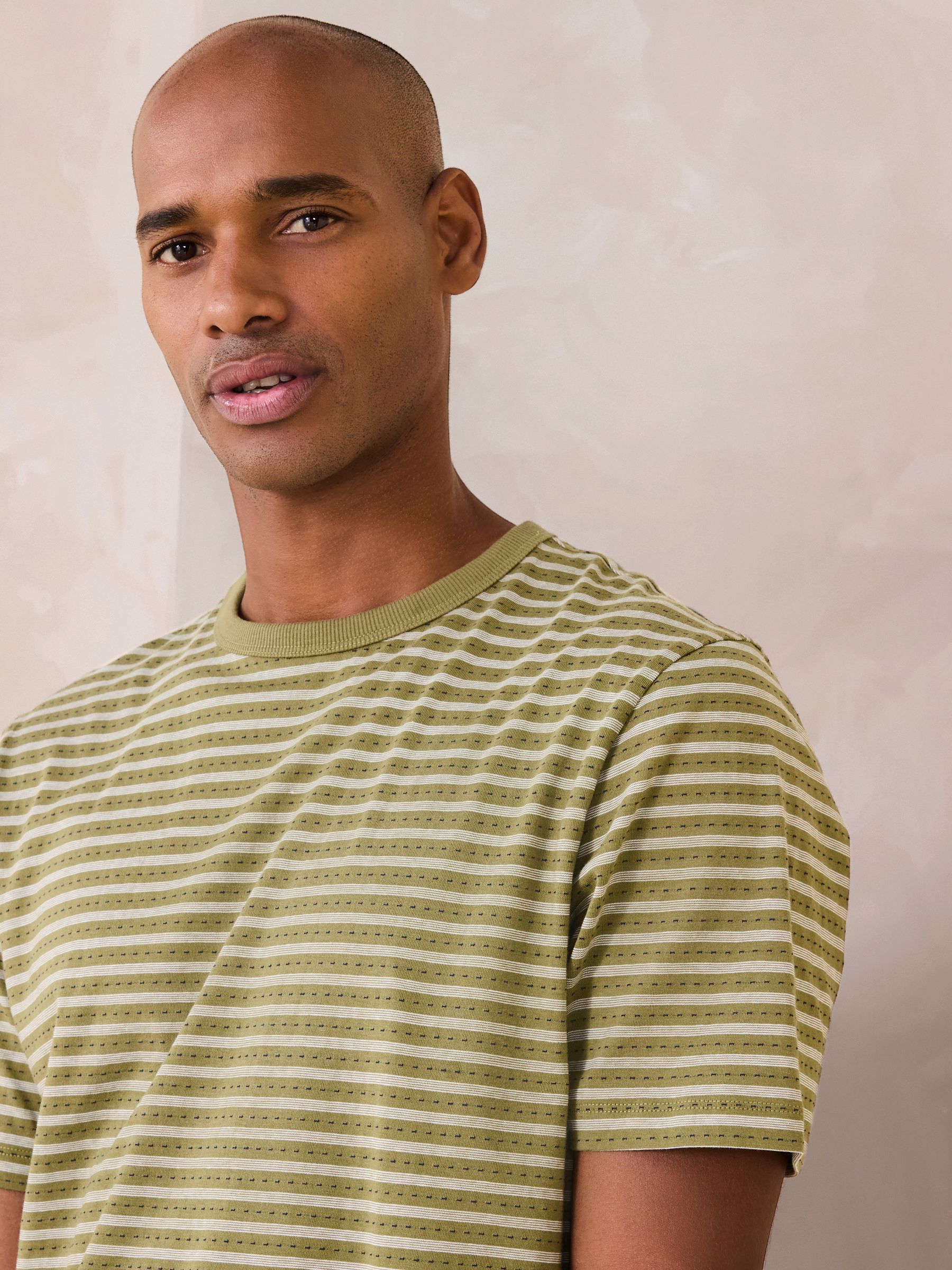 Buy Green Olive Regular Fit Horizontal Stripe T-Shirt from Next USA