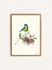 Laura Ashley Blue Tit Bird 73 x 103 cm Wood Large Frame - Image 2 of 4