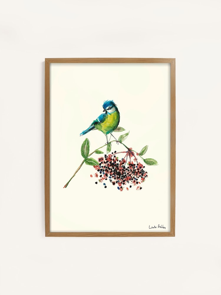 Laura Ashley Blue Tit Bird 73 x 103 cm Wood Large Frame - Image 2 of 4