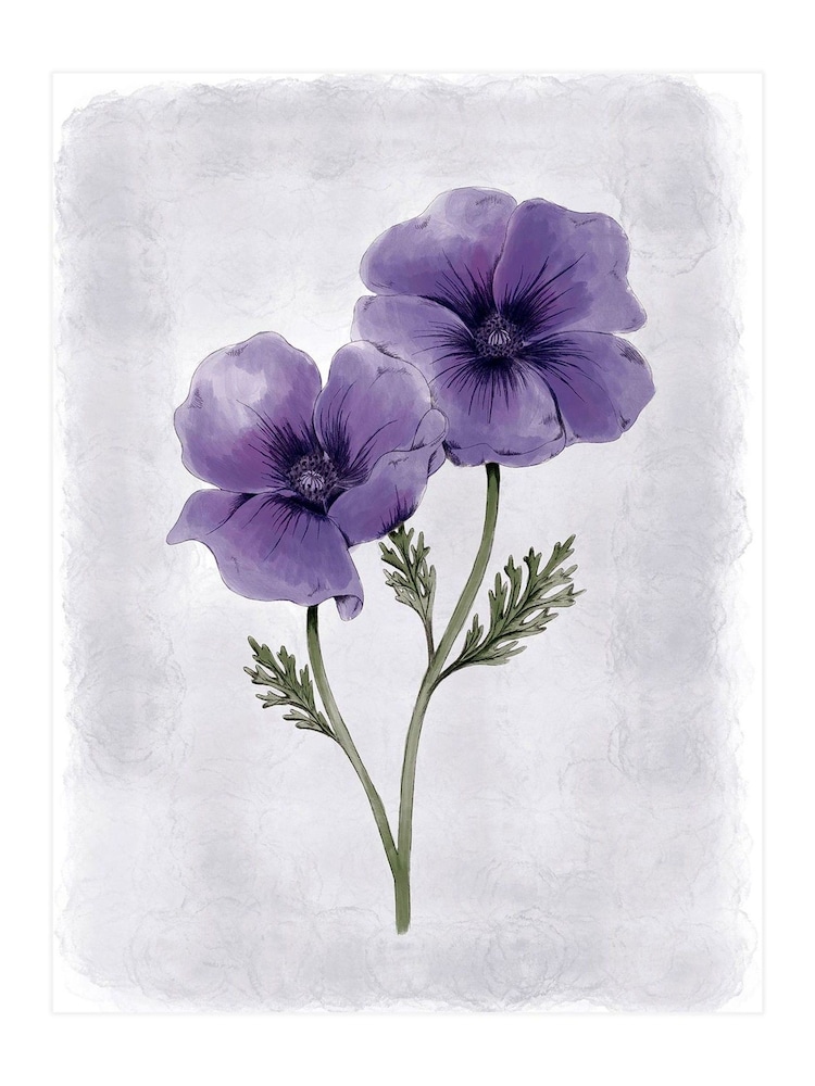 Laura Ashley Purple Anemone Floral 73 x 103 cm Medium Frame - Image 4 of 4