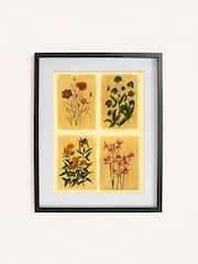 Laura Ashley Yellow Antique Flowers 73 x 103 cm Small Frame - Image 2 of 4