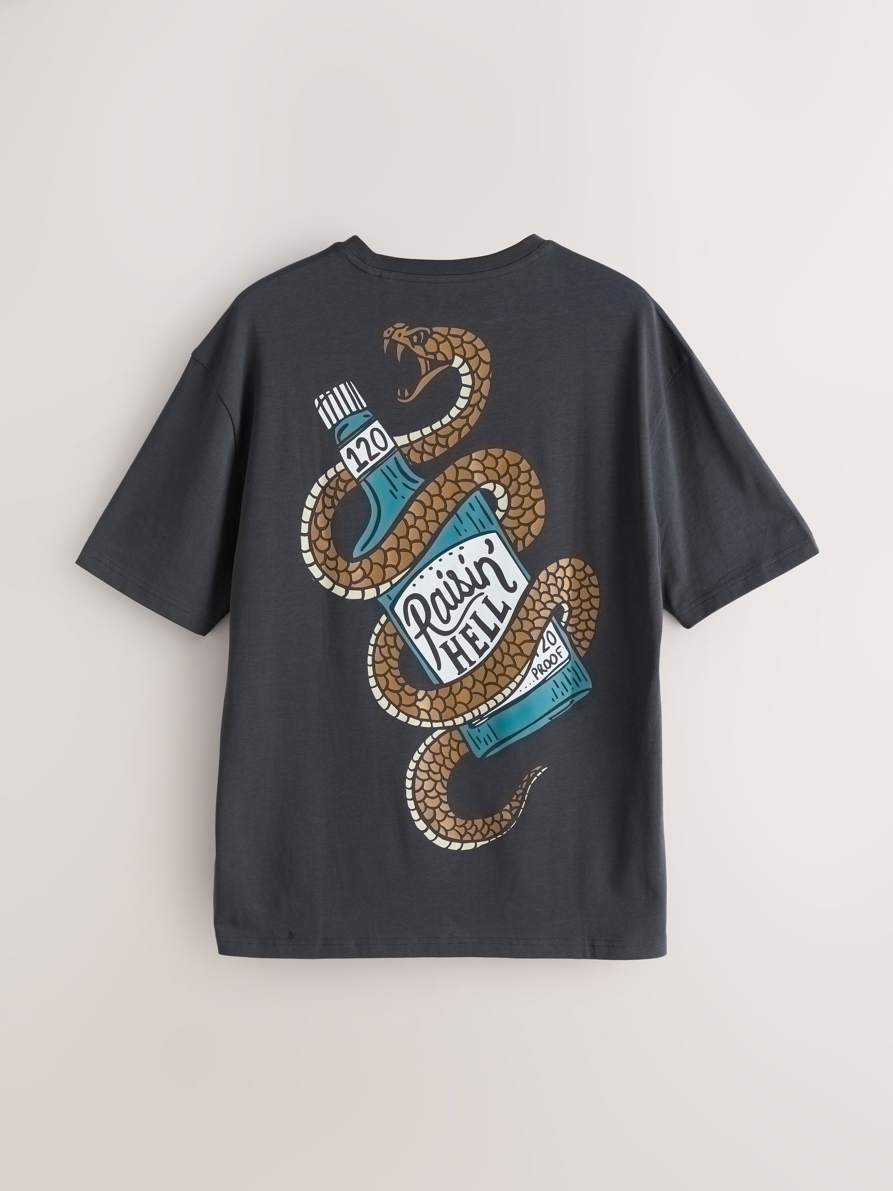 Buy Charcoal / White / Stone Relaxed Fit Graphic Print T-Shirts 3