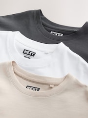 Charcoal / White / Stone Relaxed Fit Graphic Print T-Shirts 3 Pack - Image 8 of 15