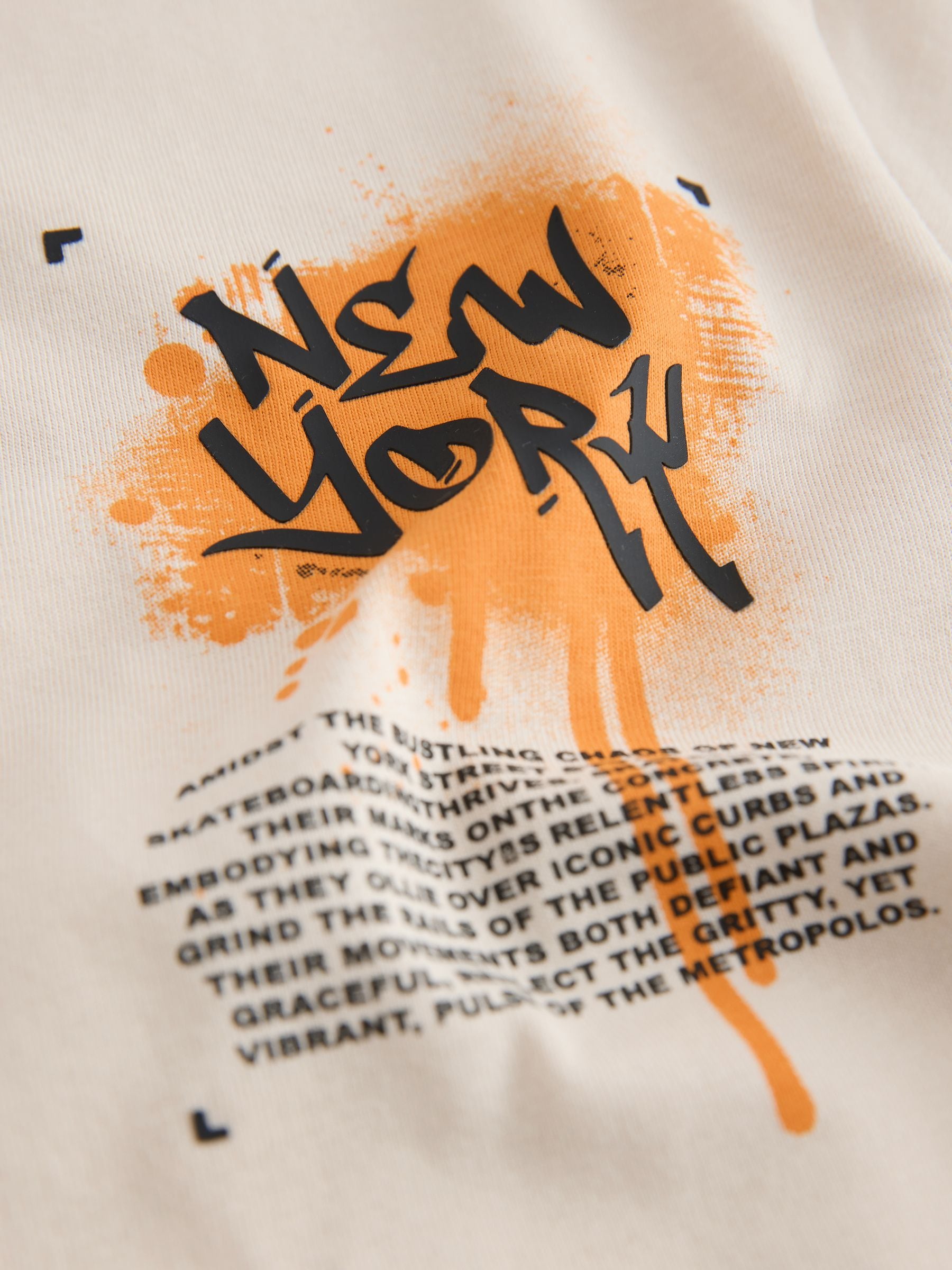 Buy Stone Short Sleeve Graffiti Print T-Shirt from the Next UK