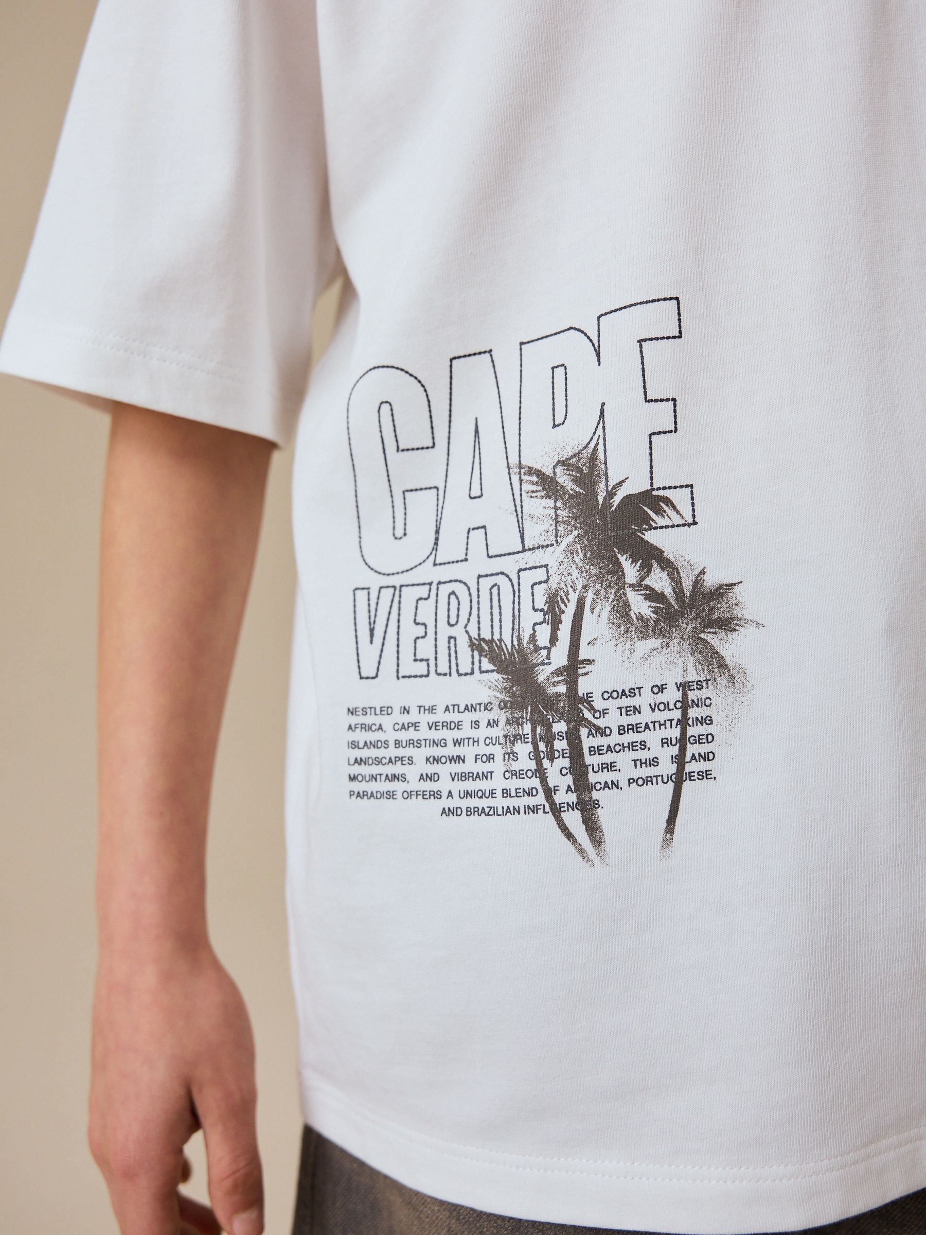 Buy White Palm Embroidery Short Sleeve Graphic T-Shirt (3-16yrs