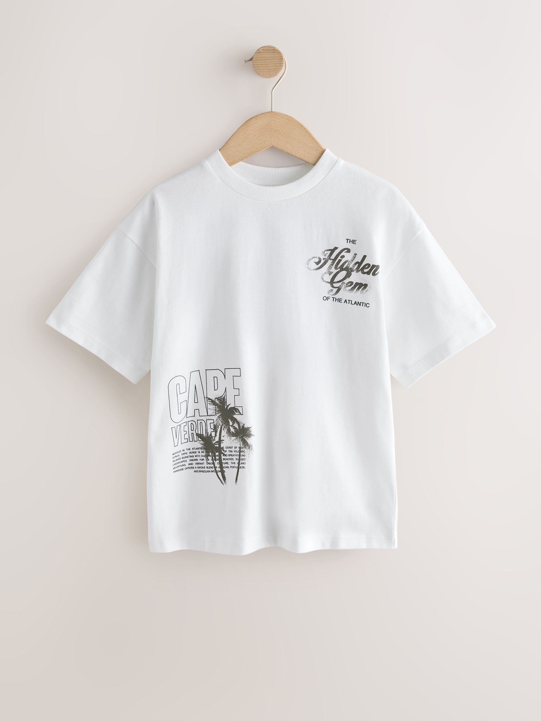 Buy White Palm Embroidery Short Sleeve Graphic T-Shirt (3-16yrs